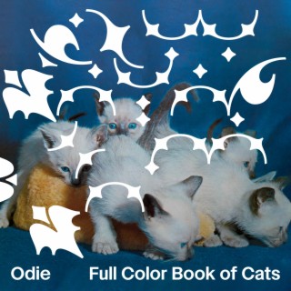 Full Color Book of Cats