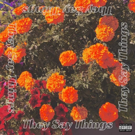 They Say Things | Boomplay Music