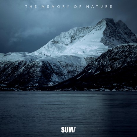 The Memory of Nature (Original Motion Picture Soundtrack) | Boomplay Music