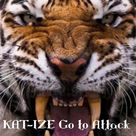 Going To Attack