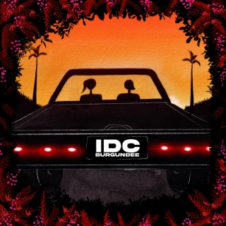 I.D.C. lyrics | Boomplay Music