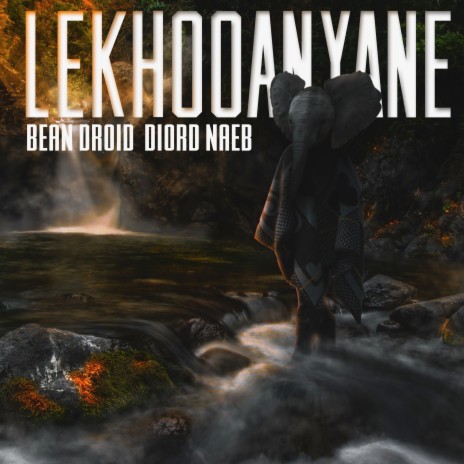 Lekhooanyane ft. Diord Naeb | Boomplay Music