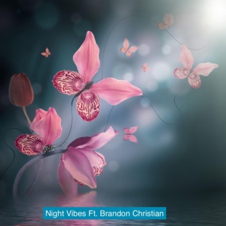 Night Vibes (Radio Edit) ft. Brandon Christian | Boomplay Music