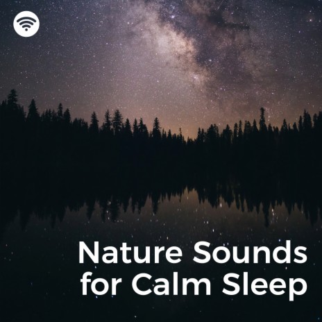 Nature's Tranquility ft. Sounds of Nature White Noise for Mindfulness & Water Soundscapes | Boomplay Music