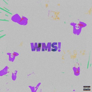 wms! ft. 14VVS lyrics | Boomplay Music