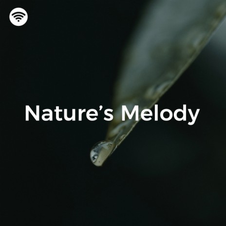 Rainy Serenity ft. Rain Shower & Sonidos De Lluvia y Viento | Boomplay Music