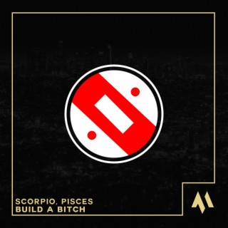 Build A Bitch
