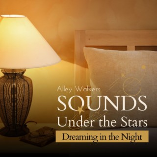 Sounds Under the Stars - Dreaming in the Night