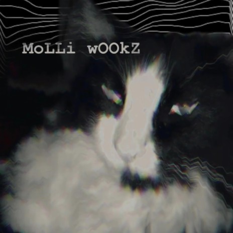 MoLLi wOOkZ | Boomplay Music