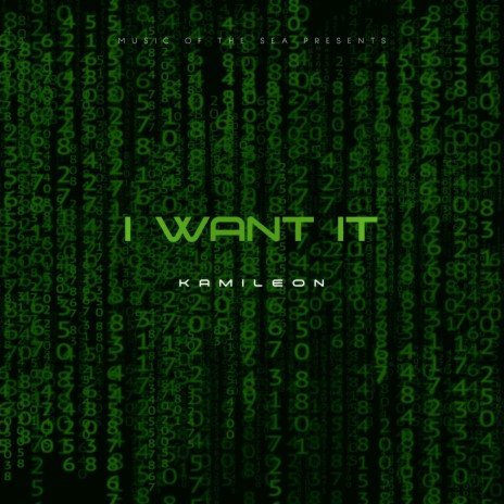 I Want It (Instrumental) | Boomplay Music