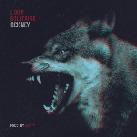 Loup Solitaire ft. Lofty | Boomplay Music