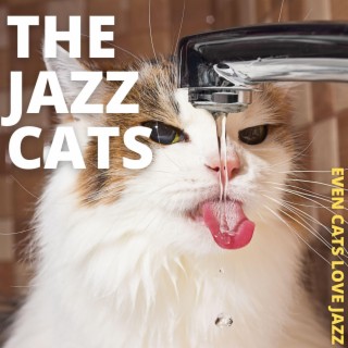 Even Cats Love Jazz