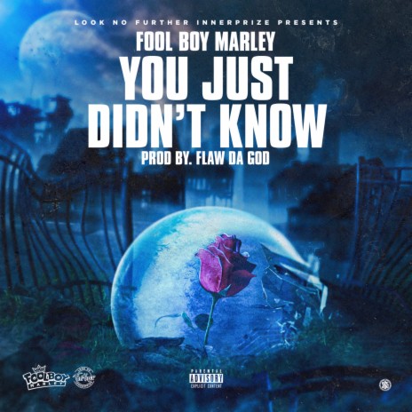 You Just Didn't Know (YJDK) | Boomplay Music