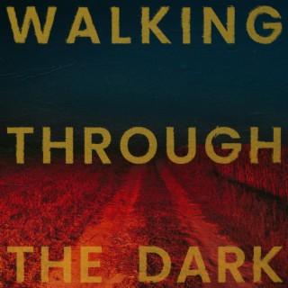 Walking Through The Dark lyrics | Boomplay Music