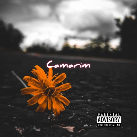Camarim | Boomplay Music