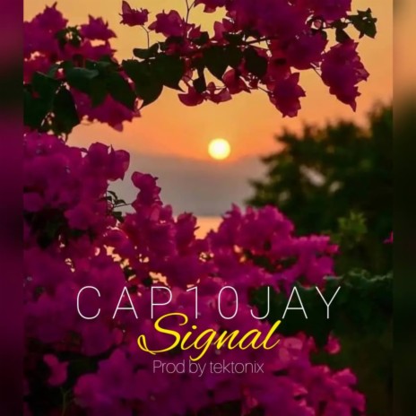 SIGNAL | Boomplay Music