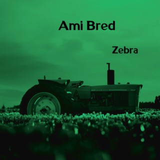 Ami Bred