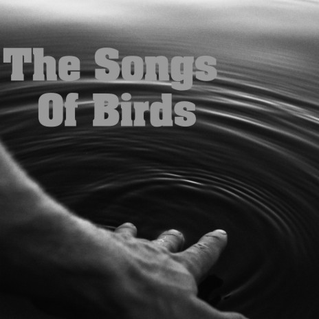 The Songs Of Birds
