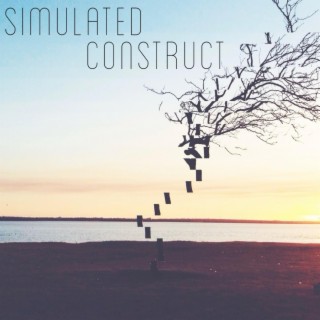 Simulated Construct (Acoustic)