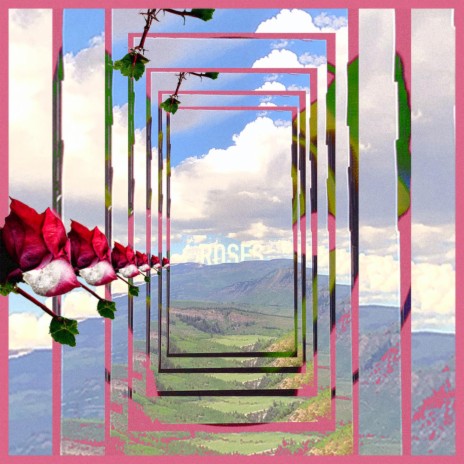 Roses | Boomplay Music