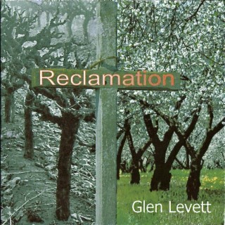 Glen R Levett