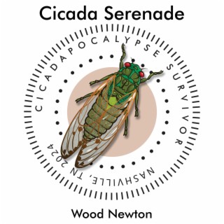 Cicada Serenade