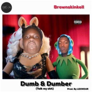 Dumb & Dumber (Talk My Shit) (feat. Brownskinkell)