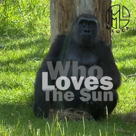 Who Loves The Sun | Boomplay Music