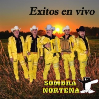 Sombra Norteña En Vivo 15 Años Vianey