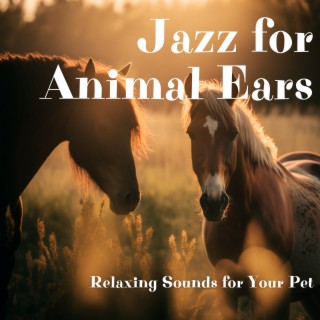 Jazz for Animal Ears: Relaxing Sounds for Your Pet