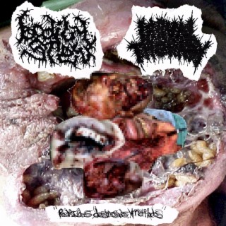 Podridos, Destrozados, y Mutilados (Larval Therapy x Bodily stew Split