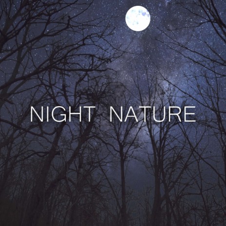 Night Nature | Boomplay Music