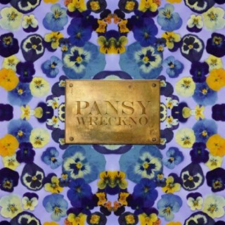 PANSY