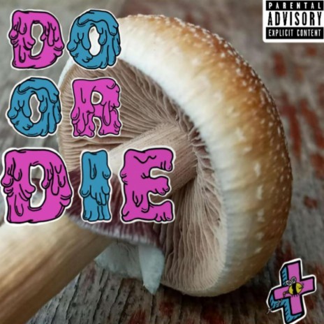 Do Or Die | Boomplay Music