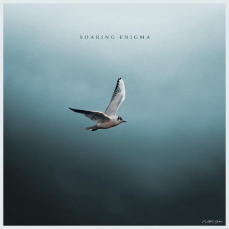 Soaring Enigma | Boomplay Music