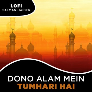 Dono Alam Mein Tumhari Hai Lofi