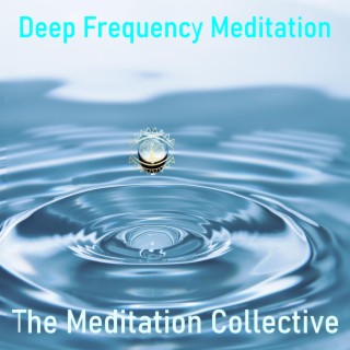 The Meditation Collective