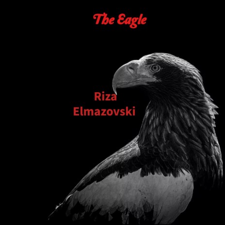 The Angry Eagle | Boomplay Music