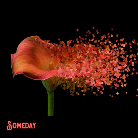 Someday | Boomplay Music