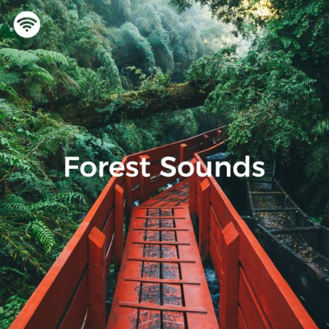 Harmony in the Hush ft. Sounds of Nature Relaxation & Rest & Relax Nature Sounds Artists | Boomplay Music