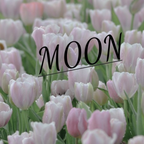 Moon | Boomplay Music