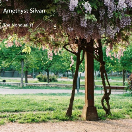 Amethyst Silvan | Boomplay Music