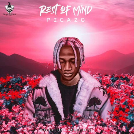 Rest of Mind | Boomplay Music