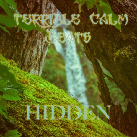 Hidden | Boomplay Music