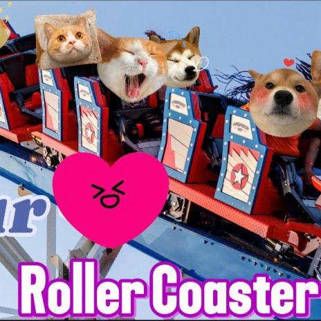 Your love = Roller Coaster Ride | Boomplay Music