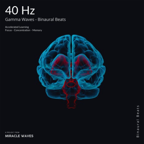 40 Hz Gamma Waves for Focus - Binaural Beats ft. Miracle Wake & Binaural Beats MW