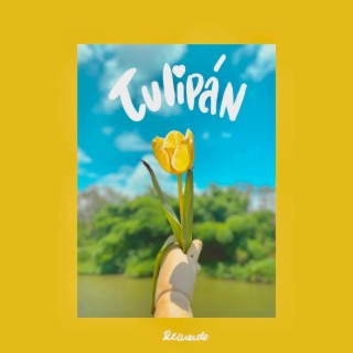 Tulipán lyrics | Boomplay Music
