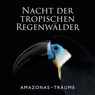 Nacht der tropischen Regenwälder: Amazonas-Träume, Geister von Wasserfällen, Dschungel Träume, Angenehmer Schlaf die ganze Nacht, Gemütliche Baumhausgeräusche, Geheimnisse des Planeten