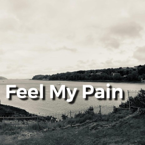 Feel My Pain | Boomplay Music