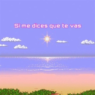 Si Me Dices Que Te Vas